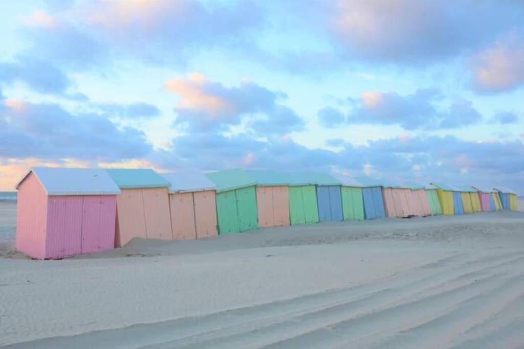 Apartamento Cozy D'Opale Charmant T1 Bord De Mer Cour Privee Et Clot Wifi 3 Pers Animaux Acceptes Gratuit Berck Exterior foto